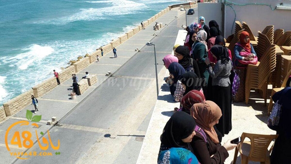 nesa2 wafed ej (2).JPG